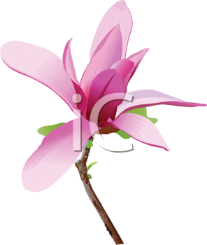 Nature and Scenic Clipart