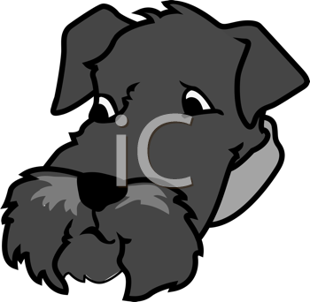 Pet Clipart