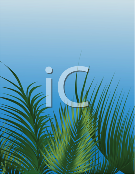 Nature and Scenic Clipart