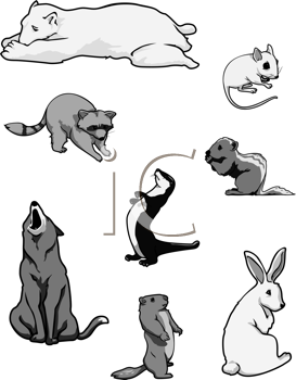 Rodent Clipart