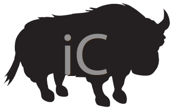 Buffalo Clipart