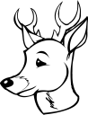 Deer Clipart