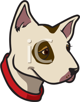 Pet Clipart