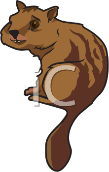 Rodent Clipart