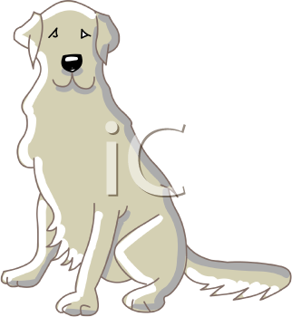 Pet Clipart