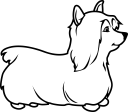 Pet Clipart