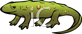 Reptile Clipart