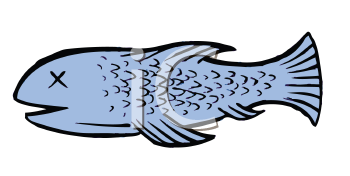 Fish and Sea Life Clipart