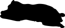 Bear Clipart