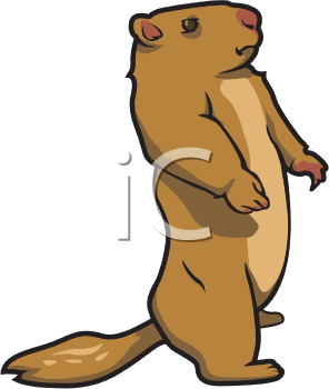 Pet Clipart