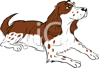 Pet Clipart