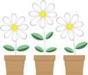 Flower Clipart