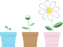 Flower Clipart