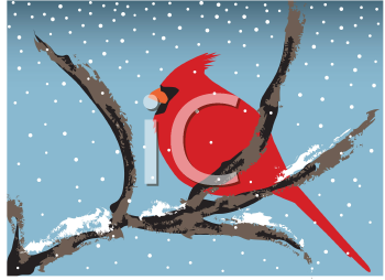 Bird Clipart