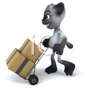 Pet Clipart