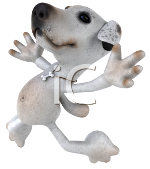 Pet Clipart