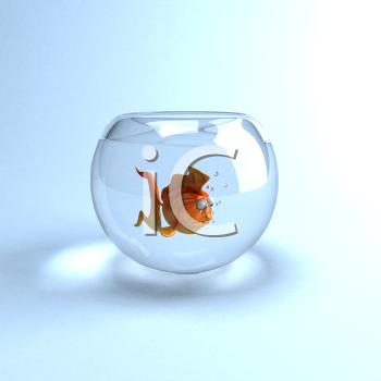 Fish and Sea Life Clipart