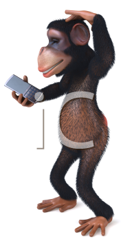 Primate Clipart