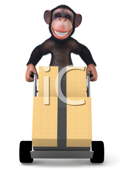 Primate Clipart