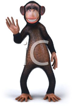 Primate Clipart