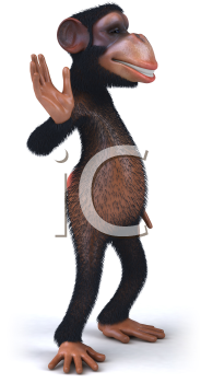 Primate Clipart