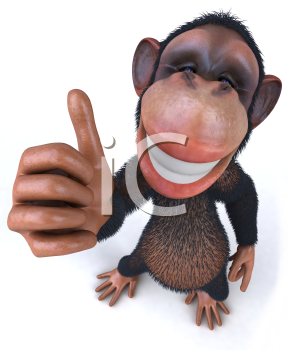 Primate Clipart
