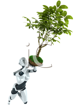 Nature and Scenic Clipart