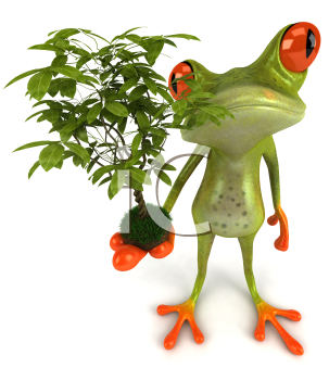 Plant Clipart