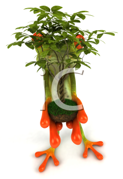 Plant Clipart