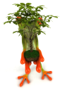 Plant Clipart