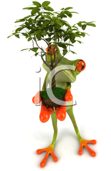 Plant Clipart