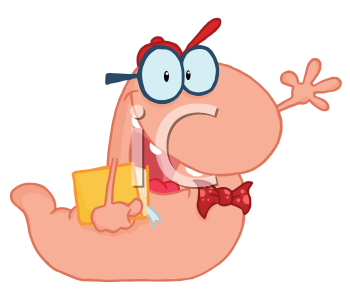 Insect Clipart