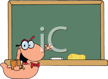 Insect Clipart