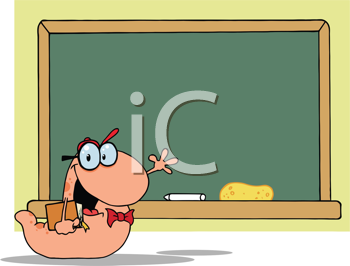 Insect Clipart
