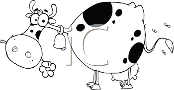 Insect Clipart