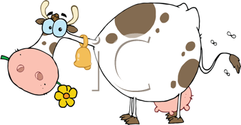 Insect Clipart