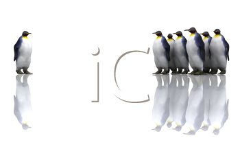 Bird Clipart