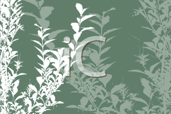 Plant Clipart