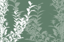 Plant Clipart