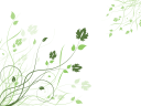 Plant Clipart