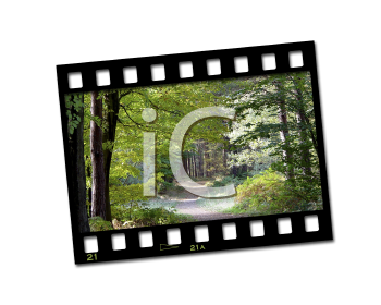 Nature and Scenic Clipart