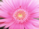 Background Clipart