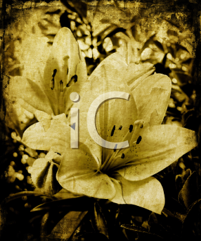 Nature and Scenic Clipart