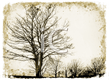 Nature and Scenic Clipart