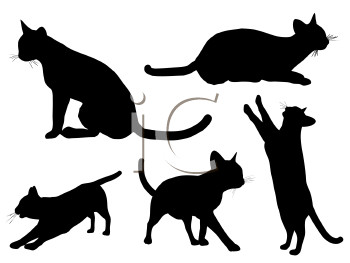 Pet Clipart