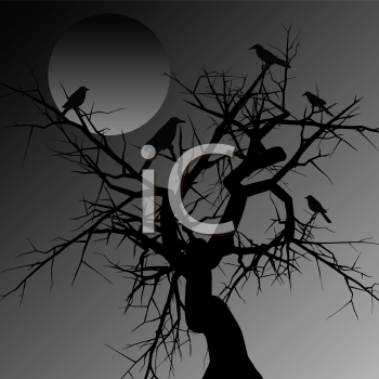 Bird Clipart