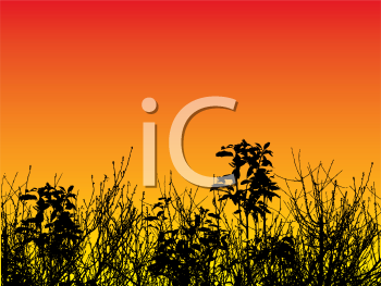 Nature and Scenic Clipart