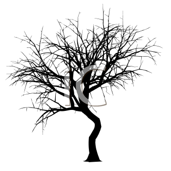 Nature and Scenic Clipart