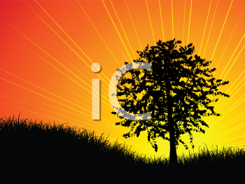 Nature and Scenic Clipart