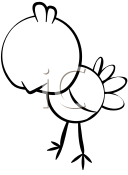 Bird Clipart
